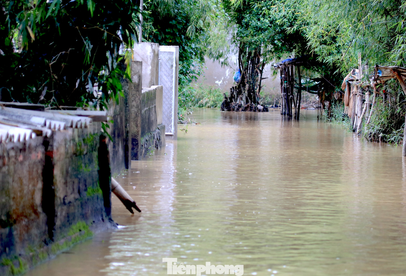 Đường làng ngõ xóm của cụm dân cư Hòa Lam vẫn ngập chìm trong nước lũ.