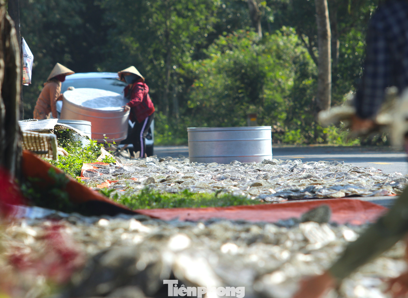 Dọc các tuyến đường nhựa vắng người đều được các cơ sở trải bạt để phơi bánh lúc trời nắng. Dọc các tuyến đường nhựa vắng người đều được các cơ sở trải bạt để phơi bánh lúc trời nắng.