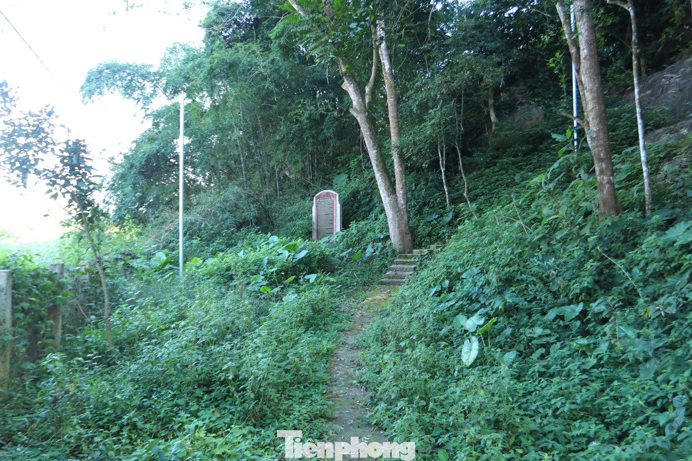 Văn bia nằm ẩn khuất trên dãy núi đá vôi. Đây là tấm bia được khắc trực tiếp lên núi cổ nhất tại Việt Nam.