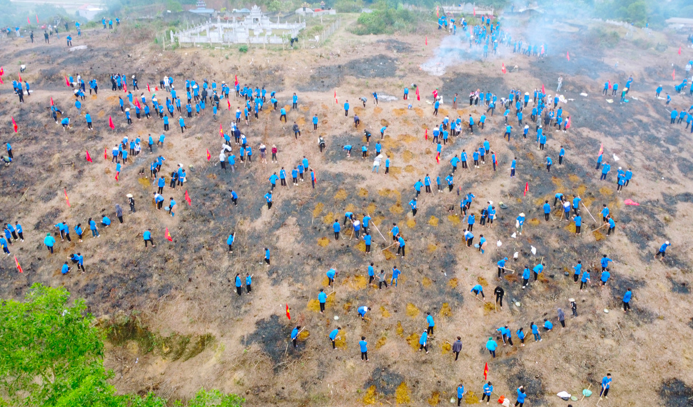 Trong vòng 1 ngày, các giáo viên, học sinh và đoàn viên thanh niên đã trồng được hơn 10.000 cây xanh gồm cây keo và một số cây ăn quả như bưởi, ổi, cam, chanh... Trong vòng 1 ngày, các giáo viên, học sinh và đoàn viên thanh niên đã trồng được hơn 10.000 cây xanh gồm cây keo và một số cây ăn quả như bưởi, ổi, cam, chanh...
