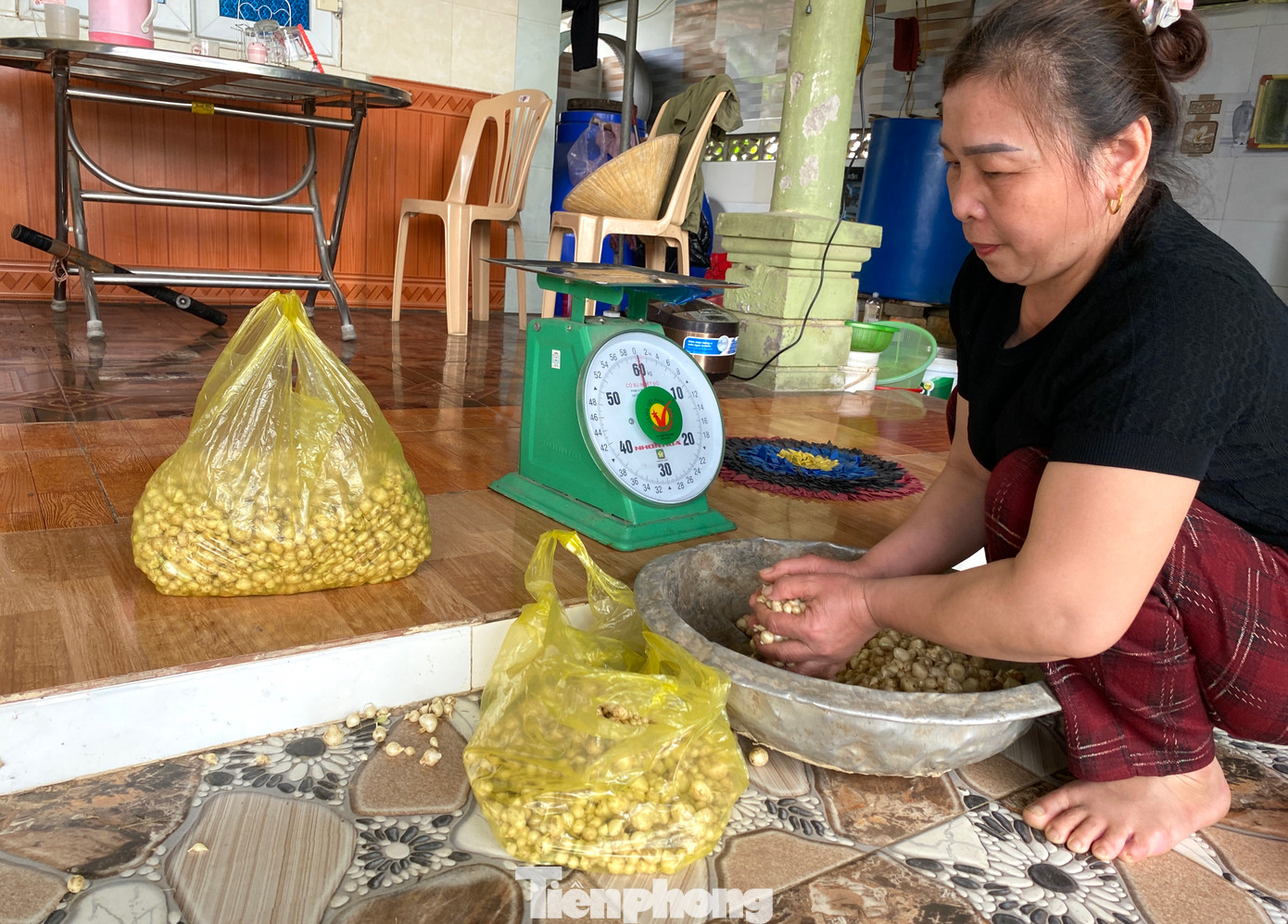 Người dân ở xã Nghi Thuận cho hay, những năm trước hành tăm được giá, giúp nông dân trồng hành có thu nhập tốt hơn nhiều so với trồng lúa, lạc. Tuy nhiên năm nay hành rớt giá, việc trồng, chăm sóc và thu hoạch hành tốn nhiều thời gian nên người dân lo lắng.