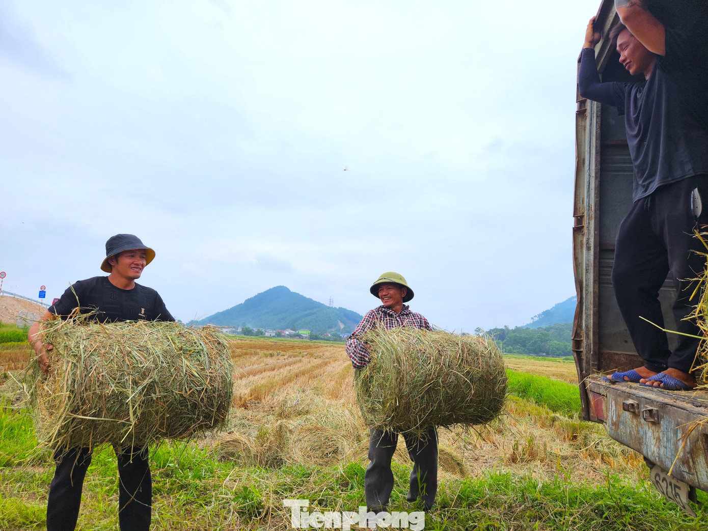 Anh Hoàng Văn Quân (trú tỉnh Nam Định) chia sẻ, nhiều năm trước anh đầu tư máy gặt đập liên hoàn để gặt thuê. Thời gian sau khi nhiều người đầu tư máy gặt nên khối lượng công việc ít đi. Thấy máy gặt sau khi thu hoạch lúa sẽ để lại rơm trên ruộng nhưng người dân thì vứt bỏ. Trong khi đó nhu cầu mua rơm của các trang trại chăn nuôi lớn nên anh Quân đã bỏ ra gần 400 triệu đồng để đầu tư máy cuộn rơm.