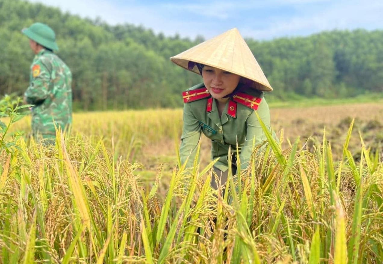 Các đoàn viên thanh niên xuống đồng giúp bà con gặt lúa; hiến máu tình nguyện; cắm biển cảnh báo chống đuối nước; trao tặng các công trình thiếu nhi “Vì đàn em thân yêu; tu sửa nghĩa trang liệt sĩ; thực hiện các “Đường cờ thanh niên”,…