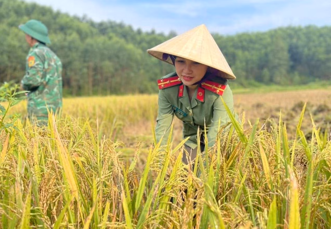 Các đoàn viên thanh niên xuống đồng giúp bà con gặt lúa; hiến máu tình nguyện; cắm biển cảnh báo chống đuối nước; trao tặng các công trình thiếu nhi “Vì đàn em thân yêu; tu sửa nghĩa trang liệt sĩ; thực hiện các “Đường cờ thanh niên”,…