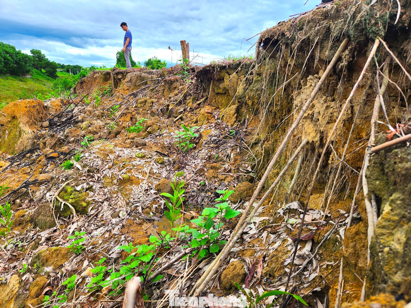 Nhiều đoạn bờ kênh bị sạt lở hàm ếch chờ chực đổ sập xuống. Tình trạng sạt lở này vẫn chưa có dấu hiệu dừng lại.