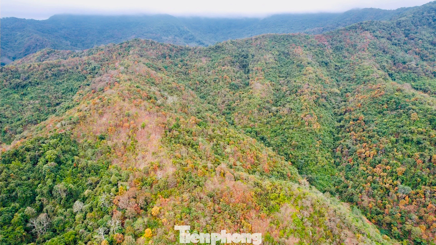 Những dãy núi trùng điệp với nhiều mảng màu từ các loại cây khác nhau.