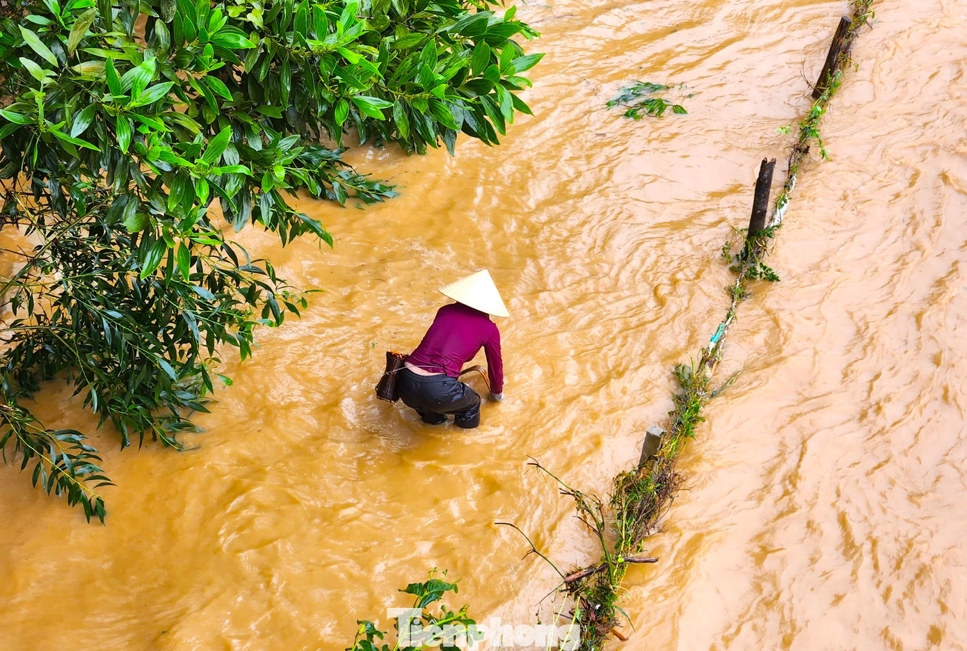 Chị Lương Thị Thuận (45 tuổi, trú bản Diềm) cho hay, mỗi ngày chị ra con suối để bắt cá 2 lần vào buổi sáng và buổi chiều. Mỗi lần chị bắt cá khoảng 2 đến 3 giờ đồng hồ. Công việc khá vất vả khi phải dầm mình dưới nước lũ nhiều giờ đồng hồ nhưng chị Thuận ngày nào cũng ra bắt để kiếm cá về ăn. Chị Lương Thị Thuận (45 tuổi, trú bản Diềm) cho hay, mỗi ngày chị ra con suối để bắt cá 2 lần vào buổi sáng và buổi chiều. Mỗi lần chị bắt cá khoảng 2 đến 3 giờ đồng hồ. Công việc khá vất vả khi phải dầm mình dưới nước lũ nhiều giờ đồng hồ nhưng chị Thuận ngày nào cũng ra bắt để kiếm cá về ăn.