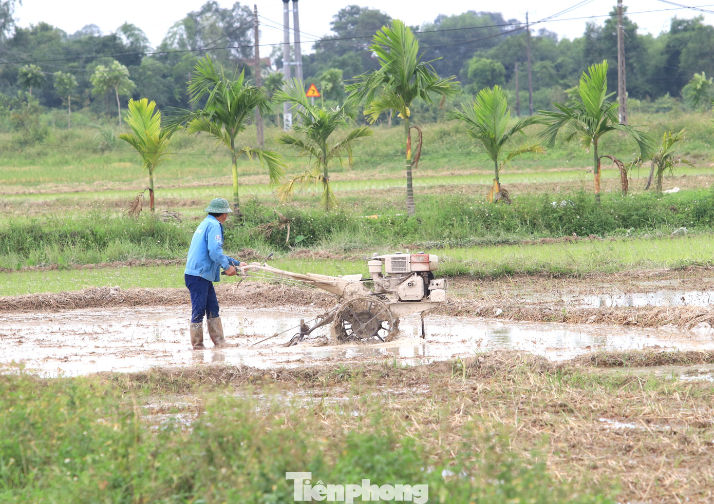 Người nông dân khẩn trương cày ruộng, làm đất sau khi thu hoạch lúa vụ Xuân.