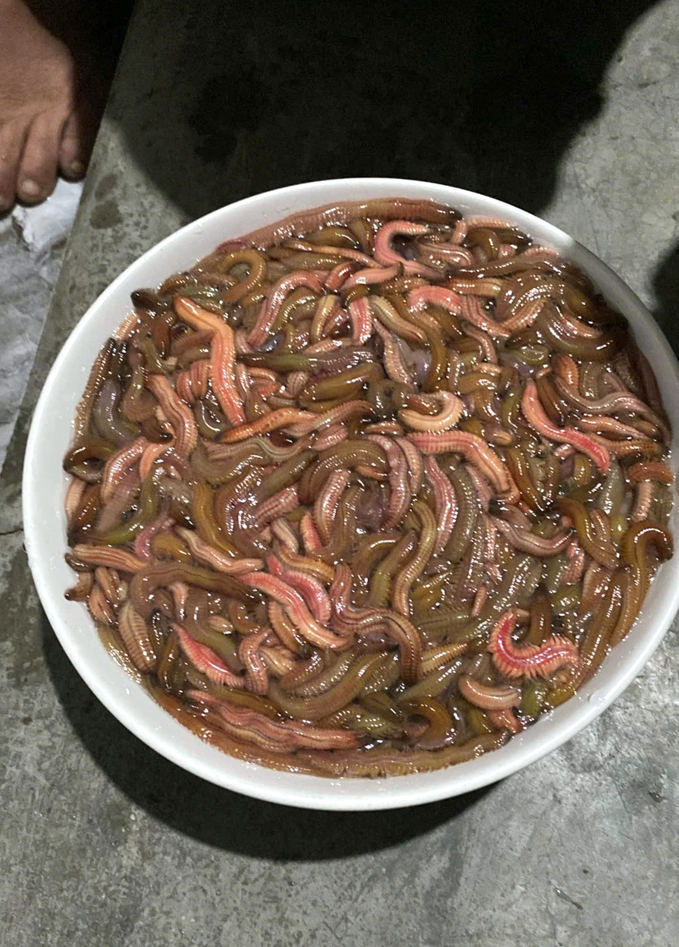 Những ngày vừa qua, khi thủy triều lên, người dân đã bắt đầu thu hoạch rươi rải rác. Dịp đầu mùa, người dân thu hoạch rươi và bán cho các thương lái với giá dao động từ 350.000 đồng đến 400 nghìn đồng/1kg rươi.