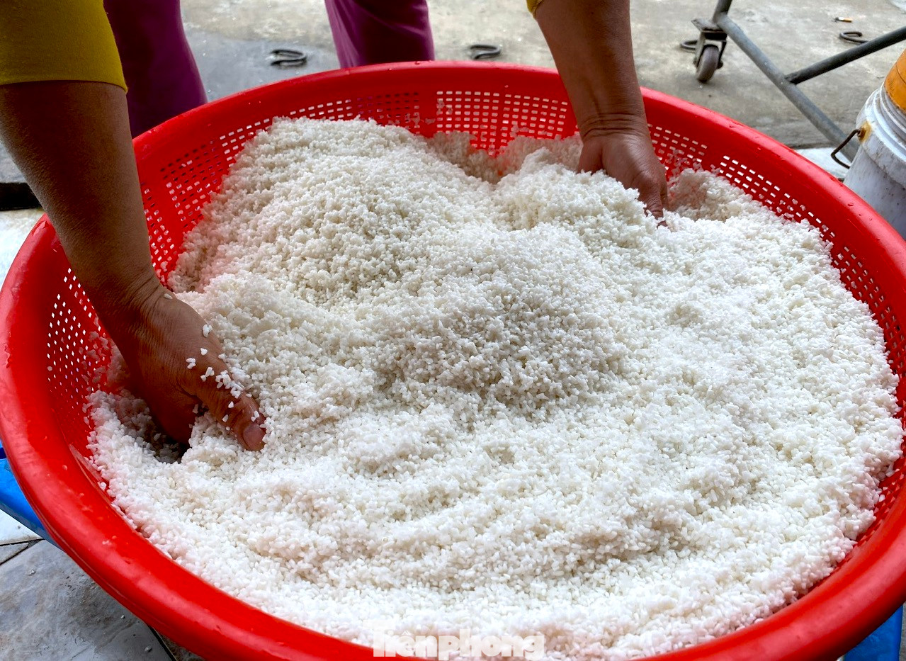 Trong đó, nếp để gói bánh là quan trọng nhất vì sẽ tạo nên độ dẻo cho bánh. Nếp được chọn phải là loại đặc biệt, hạt to tròn, trắng. Sau khi ngâm, người dân sẽ rửa sạch, kỹ để không bị lẫn tạp chất bẩn.