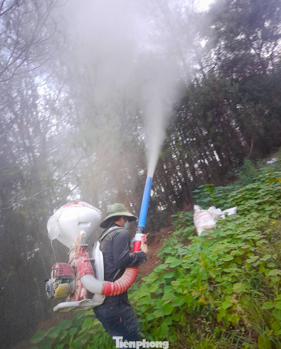 Ban Quản lý Rừng phòng hộ huyện Nghi Lộc tiến hành phun thuốc phòng trừ sâu VBT. Hiện 142ha rừng đã được phun thuốc.