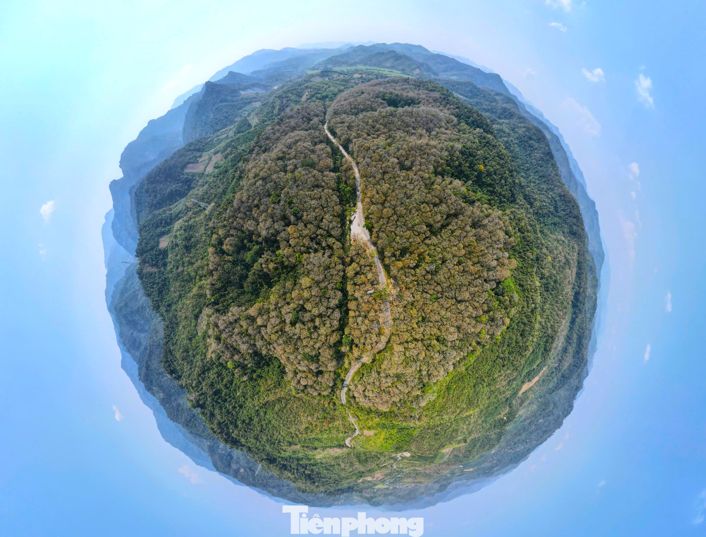 Huyện Tương Dương (tỉnh Nghệ An) có hơn 145.000 ha rừng, trong đó có 144.000 ha rừng tự nhiên. Huyện Tương Dương hiện vẫn còn giữ được hàng ngàn ha rừng nguyên sinh từ hàng trăm đến cả ngàn năm tuổi như rừng Pù Huống, Pù Mát, rừng Săng Lẻ... Huyện Tương Dương (tỉnh Nghệ An) có hơn 145.000 ha rừng, trong đó có 144.000 ha rừng tự nhiên. Huyện Tương Dương hiện vẫn còn giữ được hàng ngàn ha rừng nguyên sinh từ hàng trăm đến cả ngàn năm tuổi như rừng Pù Huống, Pù Mát, rừng Săng Lẻ...