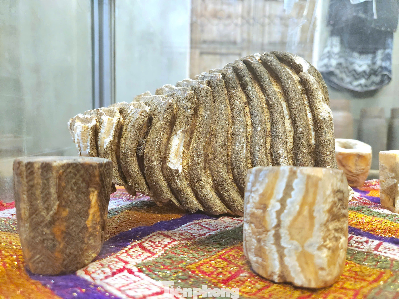 Đến những đồ vật quý hiếm cổ xưa như răng voi ma mút.