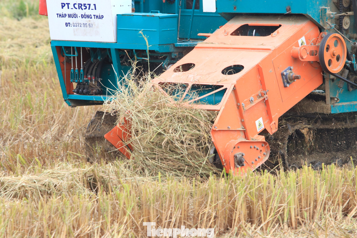 Anh Quân cho hay, máy cuộn rơm có thể thu gom từ 15-20ha ruộng mỗi ngày. Mỗi ha lúa có thể thu được từ 120-150 cuộn rơm. Mỗi cuộn rơm nặng 20kg, bán tại ruộng từ 15 đến 20 nghìn đồng. Tuy nhiên, để vận hành được máy cần từ 7-10 người. Trong đó có 2 người chuyên vận hành trên máy, 5-7 người bốc xếp và vận chuyển trả hàng cho khách mua.