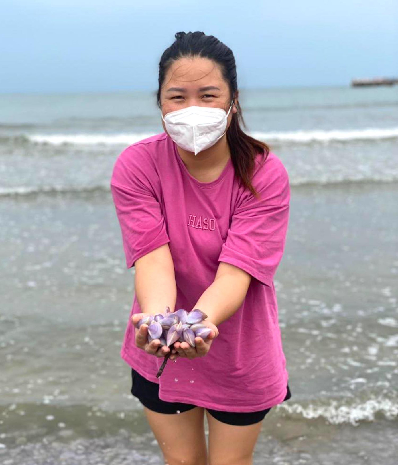 Ngao bị đánh dạt vào bờ biển nhiều ít tùy thời điểm. Có lúc ngao dạt vào bờ rất nhiều. Người dân chỉ cần vốc xuống nước dọc bờ biển cũng được đầy tay.