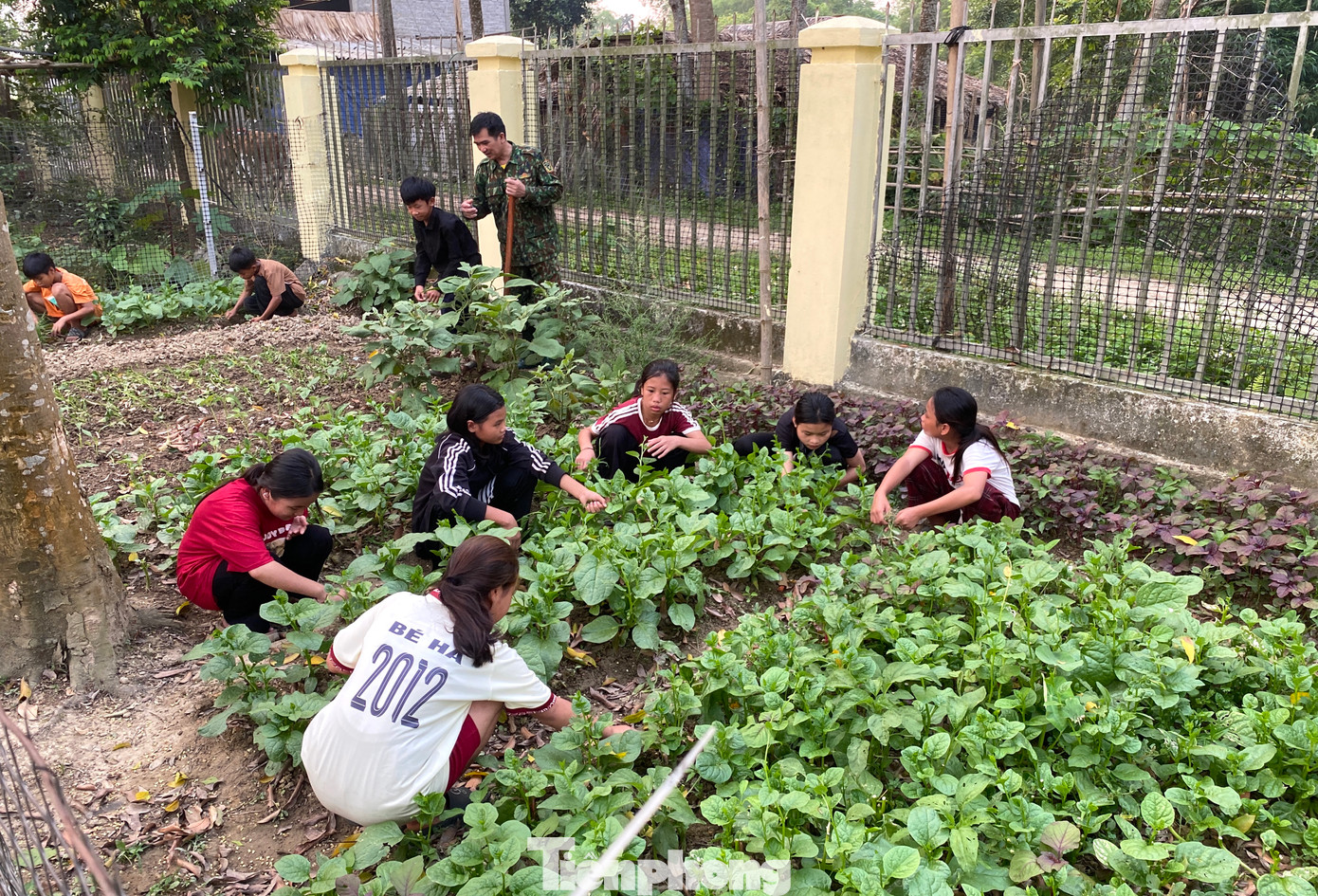 “Sau khi thức dậy tập thể dục, các em học sinh sẽ vệ sinh cá nhân rồi ăn sáng và đến trường. Buổi trưa về ăn cơm xong các em ngủ rồi đi học. Chiều về sẽ trồng rau, chơi thể thao. Tối đến các em học bài và sẽ đi ngủ lúc 22h đêm để sáng hôm sau đến trường đi học”, Thiếu tá Thắm nói thêm.