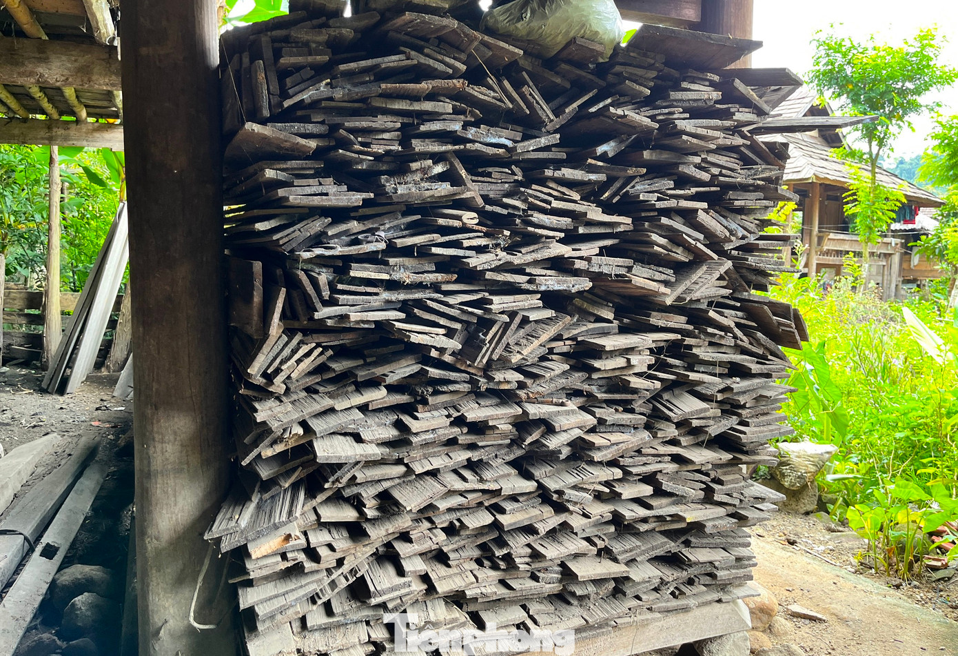 Để bảo tồn những mái nhà bằng gỗ quý này, nhiều gia đình khi sửa chữa mái nhà đã chuyển những tấm gỗ này cất dành làm trần, còn mái được thay thế bằng tôn.