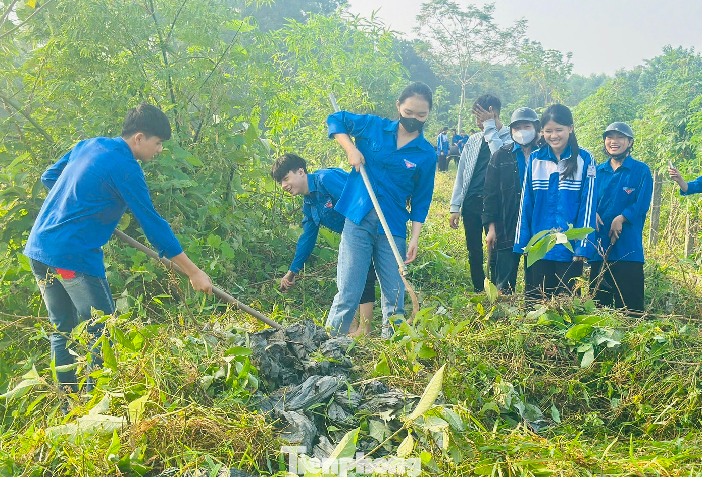 Dù nắng nóng, các đoàn viên thanh niên vẫn miệt mài với công việc.