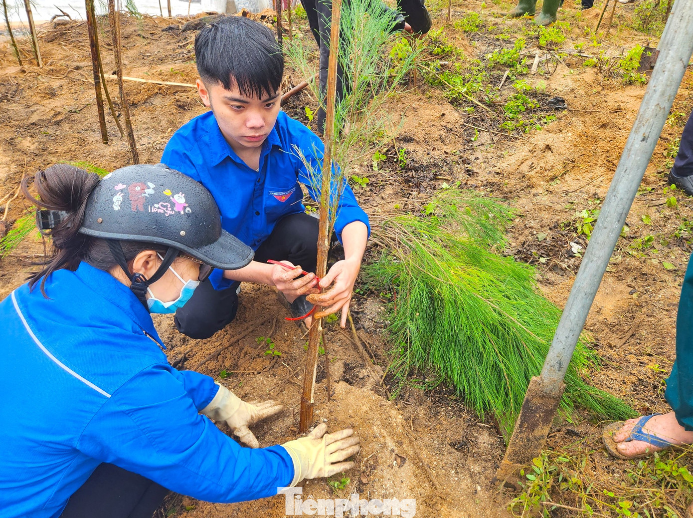 Những cây xanh được trồng ven bờ biển giúp tạo cảnh quan môi trường xanh sạch đẹp, phát triển những khu rừng phòng hộ để ứng phó với biến đổi khí hậu Những cây xanh được trồng ven bờ biển giúp tạo cảnh quan môi trường xanh sạch đẹp, phát triển những khu rừng phòng hộ để ứng phó với biến đổi khí hậu