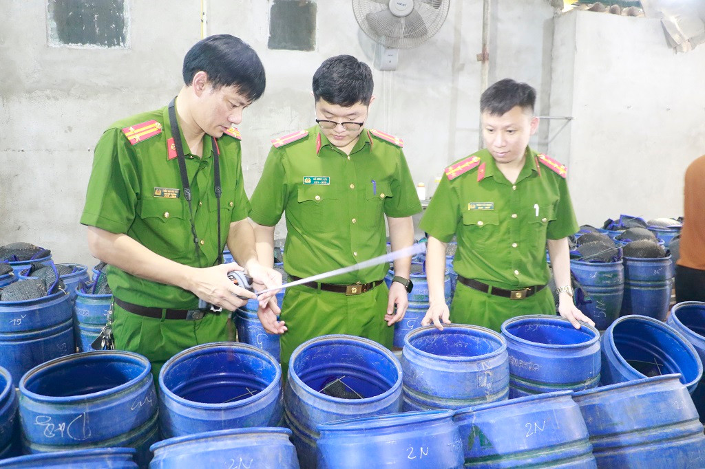 Trước đó vào ngày 11/4/2025, Phòng Cảnh sát điều tra tội phạm về tham nhũng, kinh tế và buôn lậu Công an tỉnh Nghệ An phối hợp với Công an các phường Trung Đô, Vinh Tân, Nghi Phú cùng lực lượng chức năng đồng loạt kiểm tra 4 cơ sở sản xuất giá đỗ trên địa bàn thành phố Vinh. Tại hiện trường, cơ quan chức năng thu giữ gần 2.000 lu chứa khoảng 25 tấn giá đỗ; 25 lít dung dịch hóa chất (tên khoa học là chất 6-Benzylaminopurine (6- BAP)) nguyên chất và 150 lít dung dịch đã pha chế để phục vụ việc sản xuất giá đỗ. Trước đó vào ngày 11/4/2025, Phòng Cảnh sát điều tra tội phạm về tham nhũng, kinh tế và buôn lậu Công an tỉnh Nghệ An phối hợp với Công an các phường Trung Đô, Vinh Tân, Nghi Phú cùng lực lượng chức năng đồng loạt kiểm tra 4 cơ sở sản xuất giá đỗ trên địa bàn thành phố Vinh. Tại hiện trường, cơ quan chức năng thu giữ gần 2.000 lu chứa khoảng 25 tấn giá đỗ; 25 lít dung dịch hóa chất (tên khoa học là chất 6-Benzylaminopurine (6- BAP)) nguyên chất và 150 lít dung dịch đã pha chế để phục vụ việc sản xuất giá đỗ.