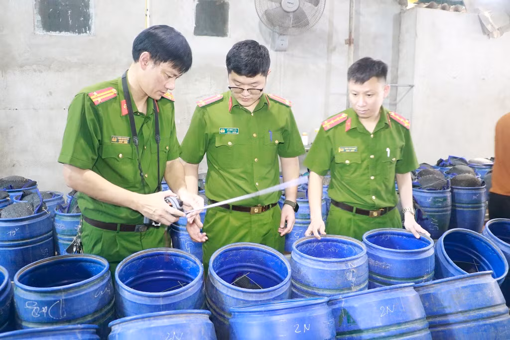 Trước đó vào ngày 11/4/2025, Phòng Cảnh sát điều tra tội phạm về tham nhũng, kinh tế và buôn lậu Công an tỉnh Nghệ An phối hợp với Công an các phường Trung Đô, Vinh Tân, Nghi Phú cùng lực lượng chức năng đồng loạt kiểm tra 4 cơ sở sản xuất giá đỗ trên địa bàn thành phố Vinh. Tại hiện trường, cơ quan chức năng thu giữ gần 2.000 lu chứa khoảng 25 tấn giá đỗ; 25 lít dung dịch hóa chất (tên khoa học là chất 6-Benzylaminopurine (6- BAP)) nguyên chất và 150 lít dung dịch đã pha chế để phục vụ việc sản xuất giá đỗ.