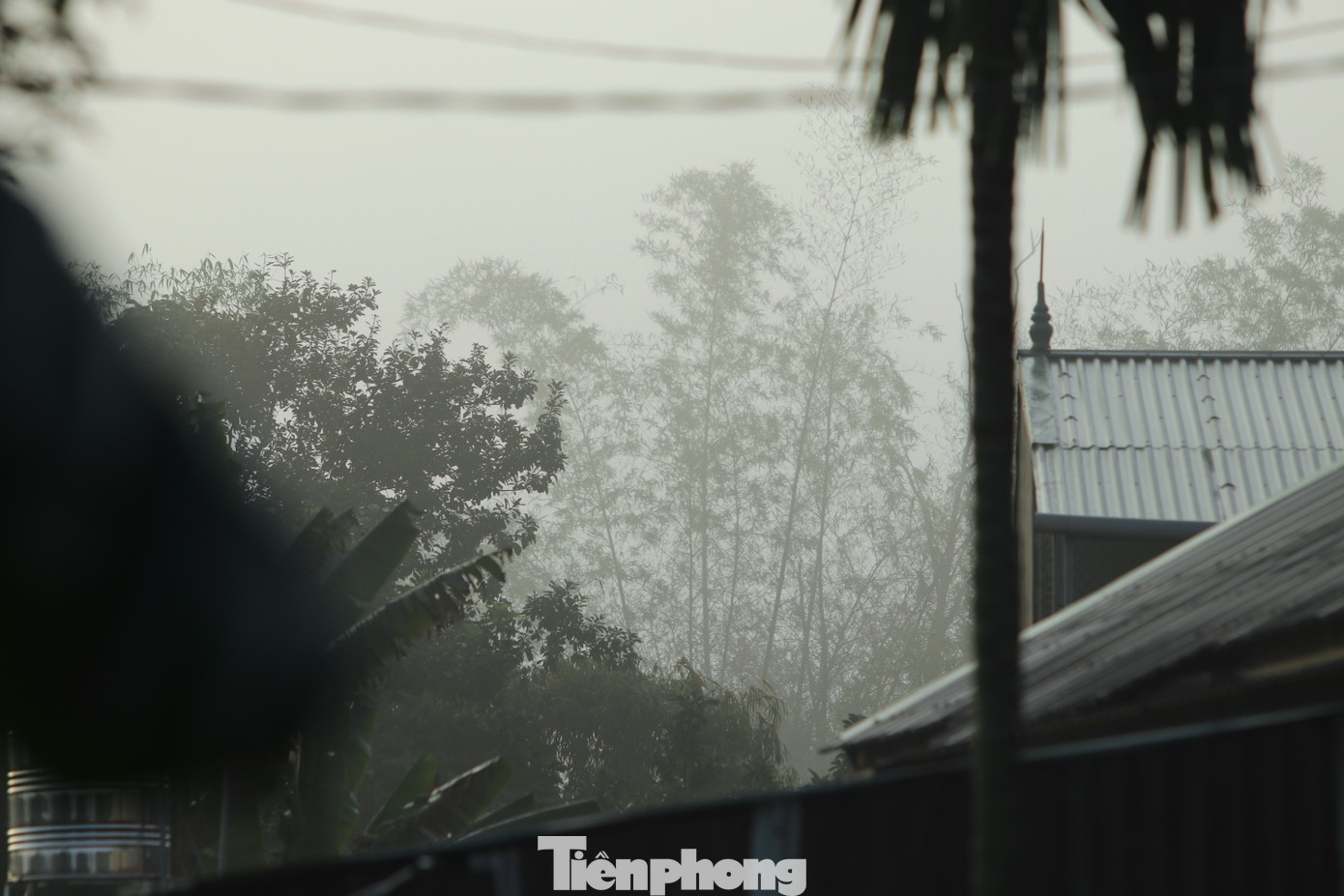 Anh Nguyễn Ngọc Tuấn (trú xã Nghi Trung, huyện Nghi Lộc, Nghệ An) cho hay, lâu lắm anh mới thấy sương mù dày đặc như hai hôm nay. Việc sương mù xuất hiện dày trong thời gian dài ảnh hưởng đến cuộc sống, công việc và đi lại của người dân. Ngoài ra, sương mù nhiều cũng ảnh hưởng đến việc trồng và sinh trưởng các loại cây hoa màu. Anh Nguyễn Ngọc Tuấn (trú xã Nghi Trung, huyện Nghi Lộc, Nghệ An) cho hay, lâu lắm anh mới thấy sương mù dày đặc như hai hôm nay. Việc sương mù xuất hiện dày trong thời gian dài ảnh hưởng đến cuộc sống, công việc và đi lại của người dân. Ngoài ra, sương mù nhiều cũng ảnh hưởng đến việc trồng và sinh trưởng các loại cây hoa màu.