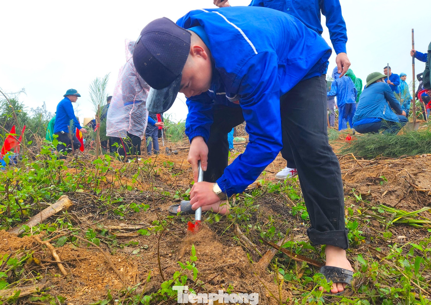 Các đoàn viên hưởng ứng tích cực trồng cây xanh. Các đoàn viên hưởng ứng tích cực trồng cây xanh.