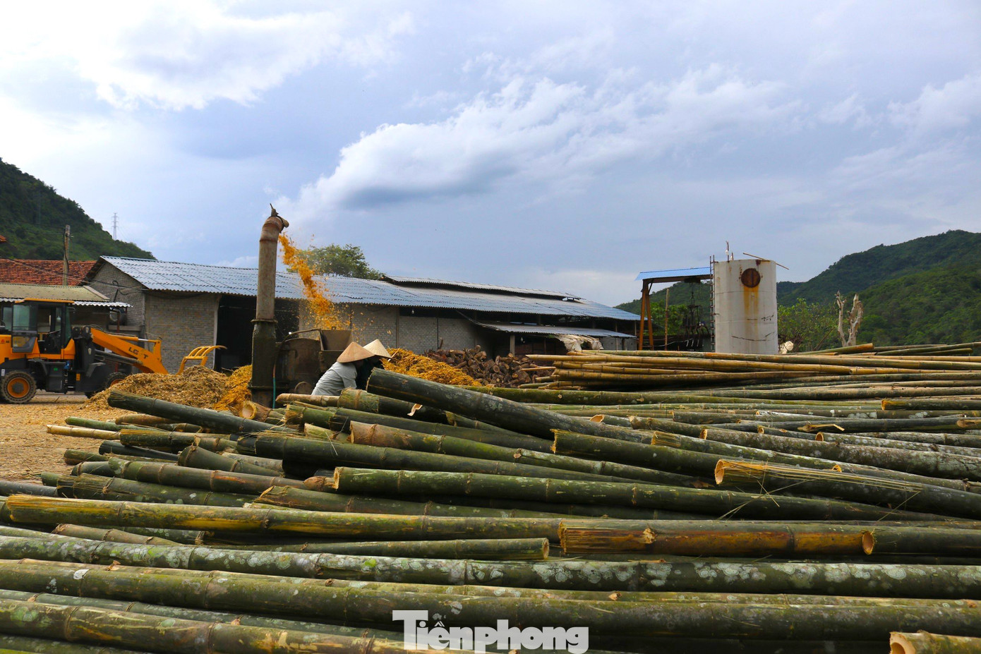 Tre, mét được sử dụng làm nhiều sản phẩm, đồ thủ công mỹ nghệ hay trong ngành xây dựng.