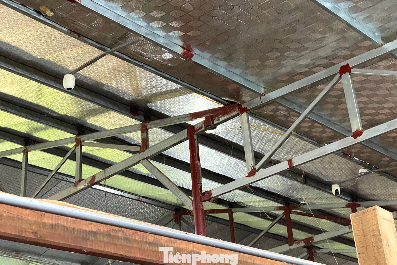 Trang trại được anh Thắng đầu tư hiện đại, bài bản với hệ thống quạt làm mát, máy đo độ ẩm. Chủ trang trại còn lắp thêm camera để giám sát, kịp thời xử lý những trường hợp bất trắc xảy ra với đàn hươu, nai giá trị của mình.