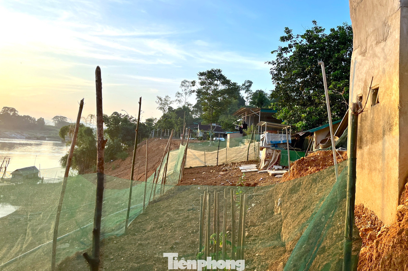 Nhiều hộ dân cố gắng trồng thêm cây để giữ đất và liên kết đất tránh sạt lở tái diễn.