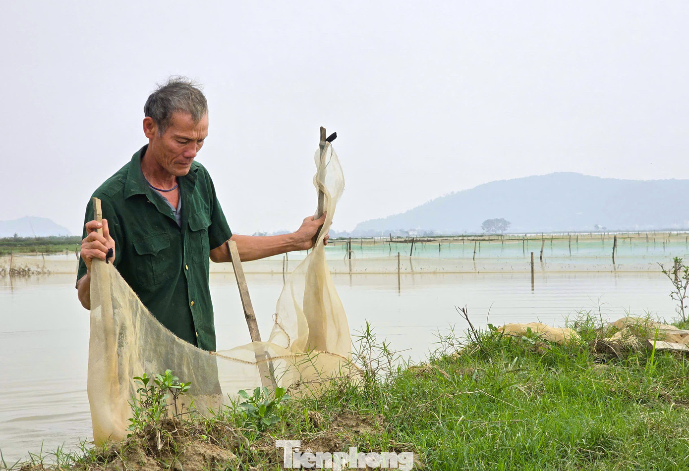 Sau khi dọn ruộng sạch sẽ, người dân mang theo cọc tre, lưới ra vây lại ruộng của gia đình mình.