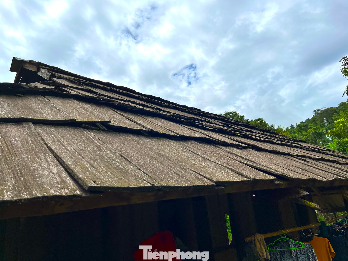Những mái nhà lợp từ loại gỗ samu quý hiếm là điểm nhấn đặc biệt cho căn nhà.