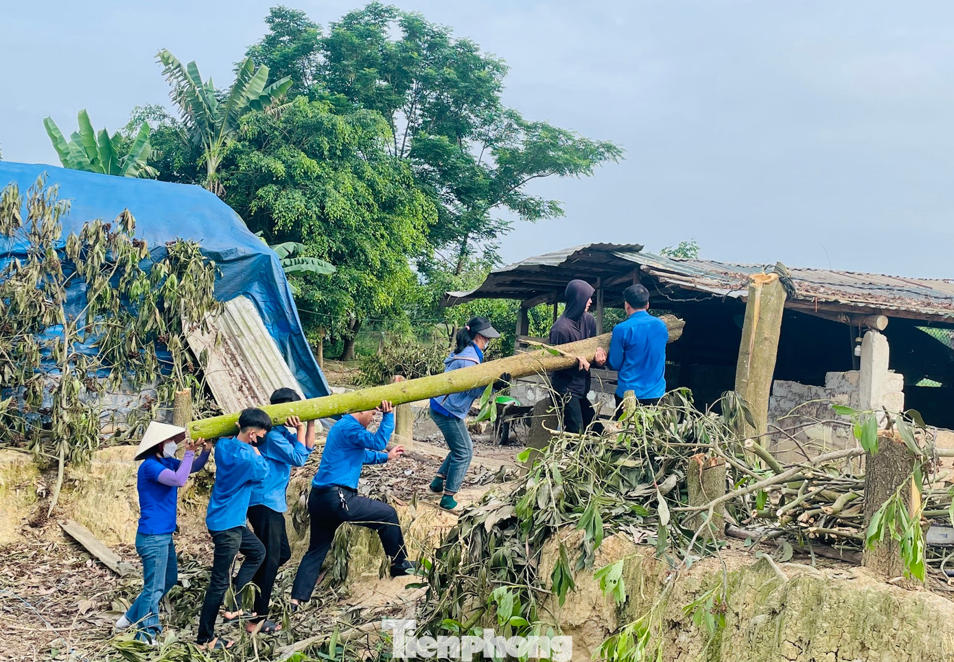 Nhiều khu vực có cây lớn, các đoàn viên phải hợp sức nhau lại để chặt và khuân vác đi khỏi hiện trường. Trong ảnh, đoàn viên thanh niên xã Đức Thành (huyện Yên Thành, Nghệ An) giải tỏa hành lang tuyến tại điểm cột 433 - 435. Nhiều khu vực có cây lớn, các đoàn viên phải hợp sức nhau lại để chặt và khuân vác đi khỏi hiện trường. Trong ảnh, đoàn viên thanh niên xã Đức Thành (huyện Yên Thành, Nghệ An) giải tỏa hành lang tuyến tại điểm cột 433 - 435.