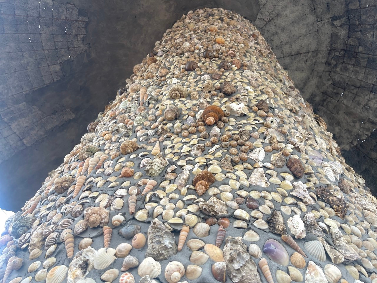 Cây thông được gắn hàng triệu vỏ ốc, hến, sò lên thân vây và 5 tán lá. Cây thông được gắn hàng triệu vỏ ốc, hến, sò lên thân vây và 5 tán lá.