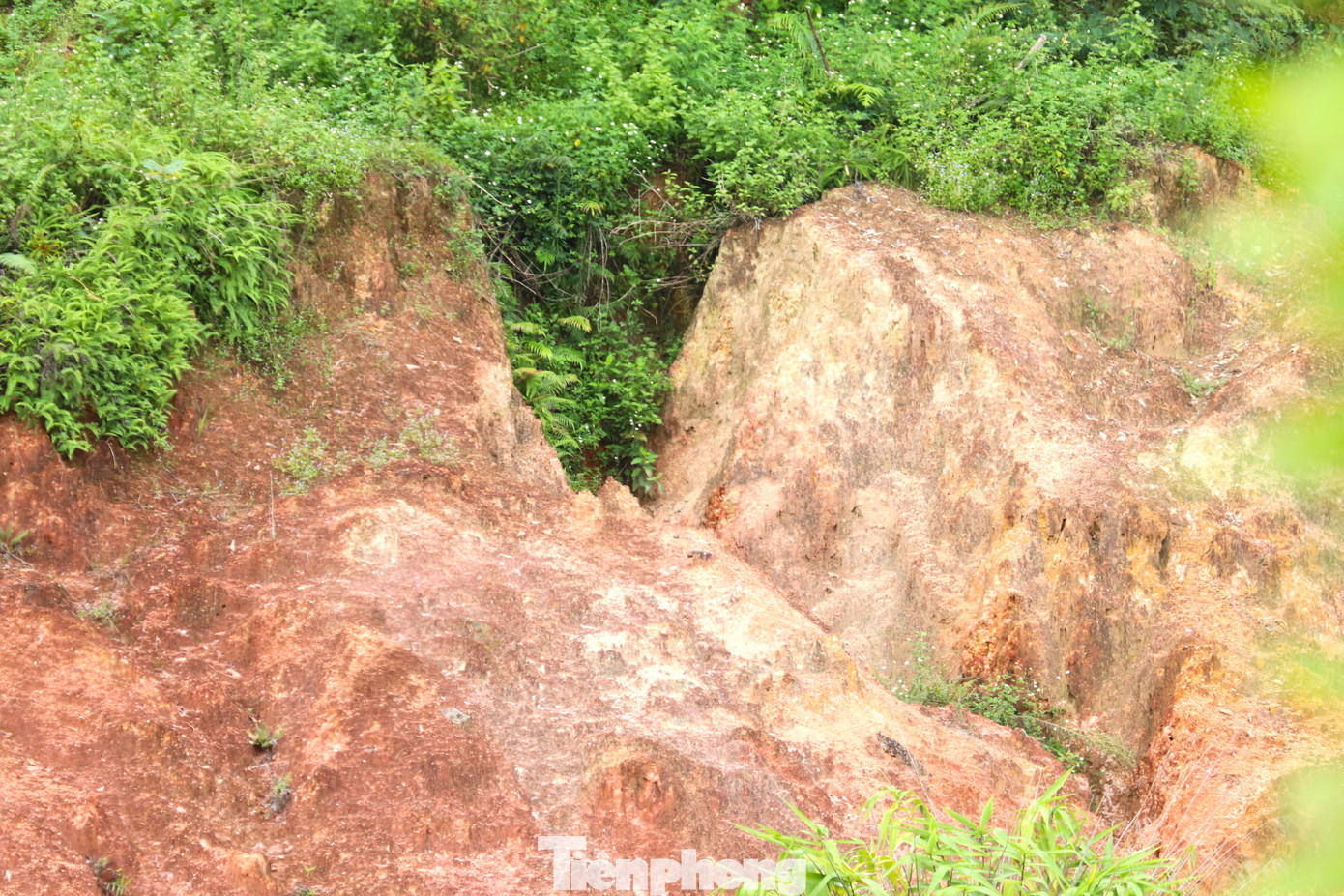 Ghi nhận của PV vào những ngày trung tuần tháng 9/2023, nhiều đoạn đất sạt lở lấn sâu vào tuyến đường trên mặt kênh và tiến sát vào khu vực dân cư.