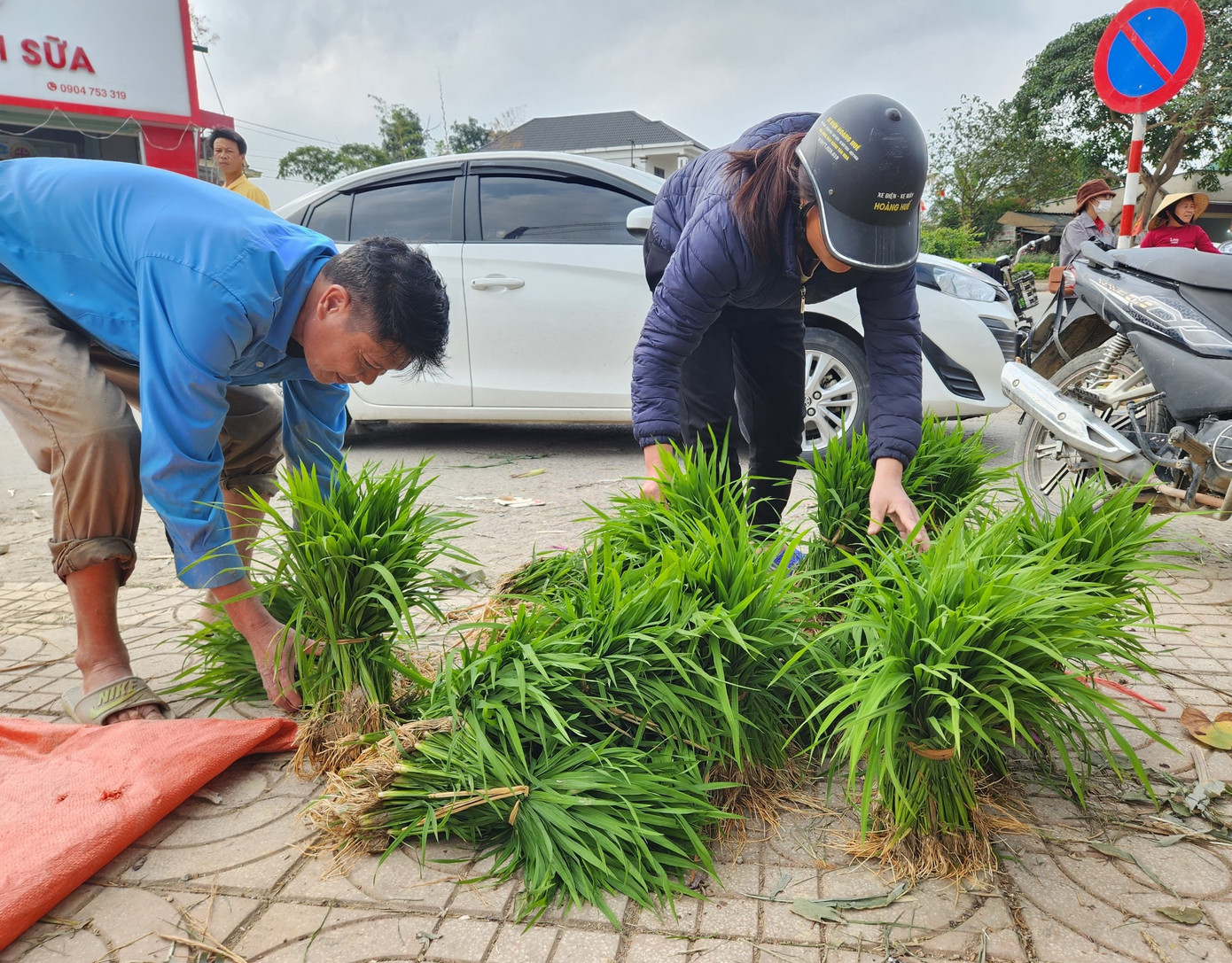 Nếu người bán mạ được vài trăm nghìn mỗi ngày thì người mua có khi phải bỏ ra từ 500 đến cả triệu đồng mới đủ mua mạ về dặm cho kín ruộng của gia đình.