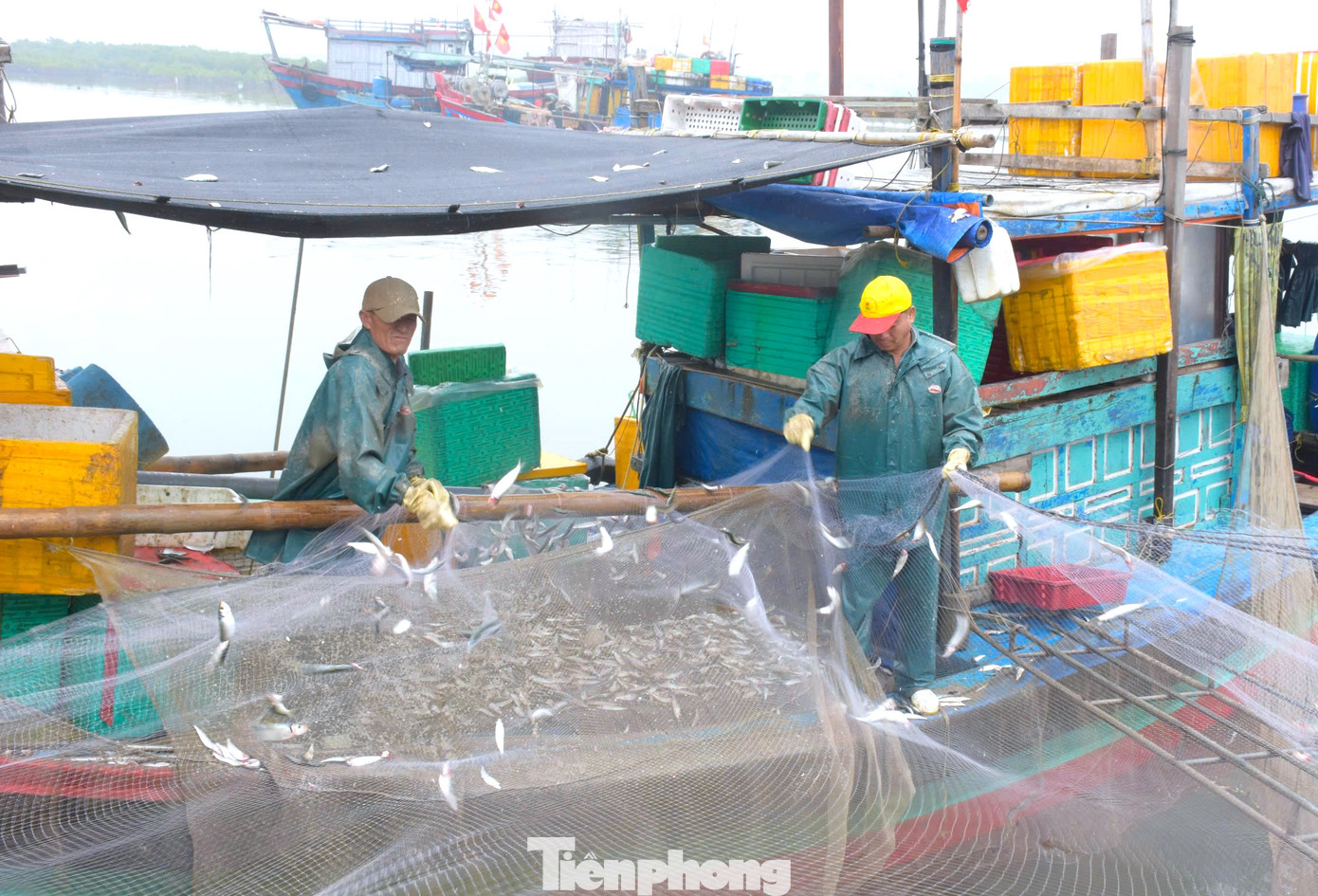 "Mấy hôm nay việc đánh bắt cá trích rất dễ và cho sản lượng cao. Có thuyền vừa ra khơi được 2 đến 3 giờ đồng hồ đã đánh bắt được hàng tấn cá trích, mang về thu nhập hàng chục triệu đồng. Cuối năm trúng vậy là vui, là có tết ấm no rồi", anh Nguyễn Văn Huy nói.