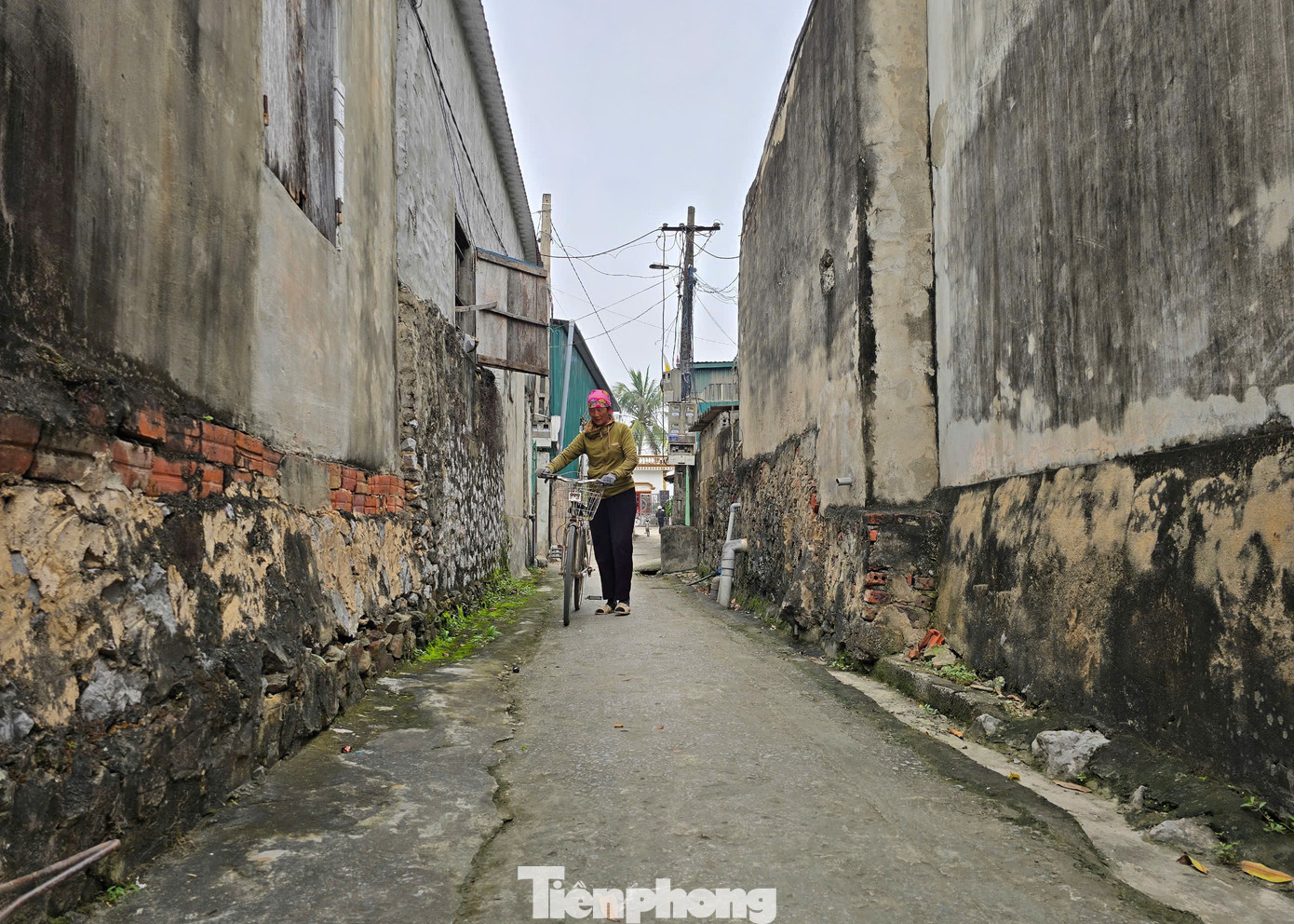 Những ngôi nhà cổ được xây dựng bằng vỏ sò mang đậm dấu ấn độc đáo của một thời kỳ khó khăn nhưng cũng đầy sáng tạo của người dân vùng biển. Những ngôi nhà cổ được xây dựng bằng vỏ sò mang đậm dấu ấn độc đáo của một thời kỳ khó khăn nhưng cũng đầy sáng tạo của người dân vùng biển.