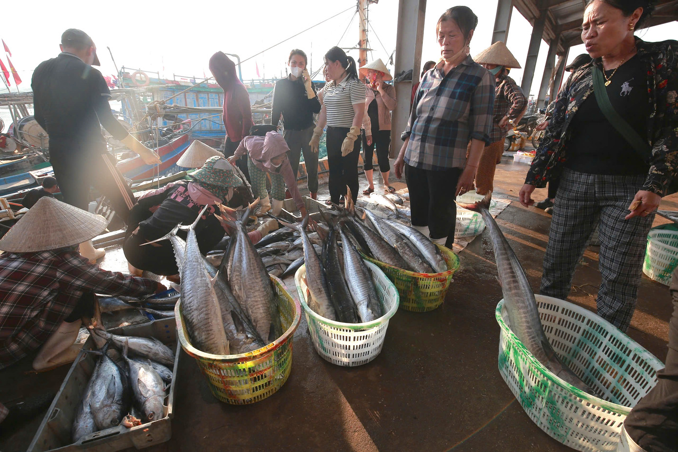 Các thương lái chờ sẵn để thu mua ngay khi tàu cập bến. Các thương lái chờ sẵn để thu mua ngay khi tàu cập bến.