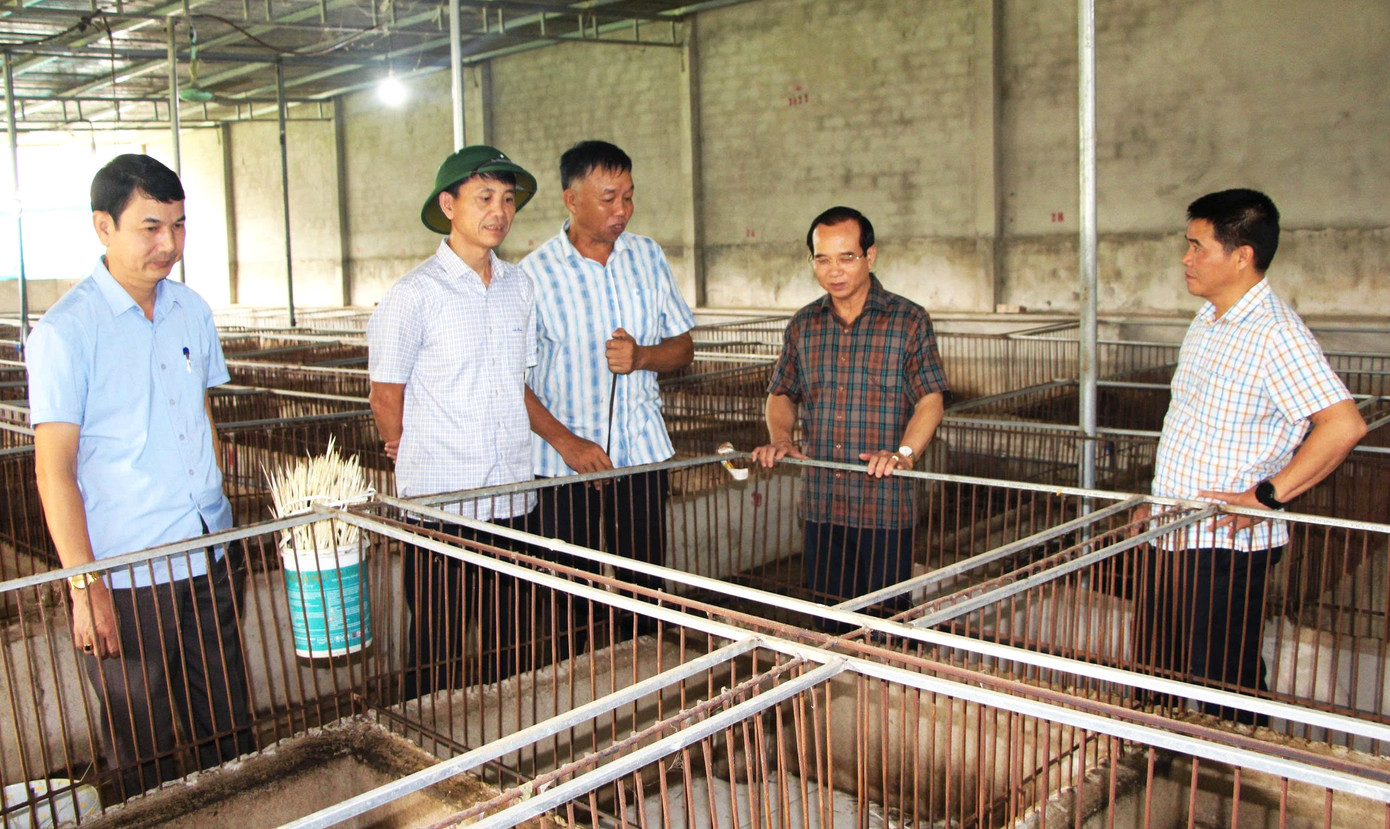 Mô hình nuôi nhím được đánh giá sẽ giúp người dân địa phương phát triển kinh tế, từng bước vươn lên thoát nghèo. Mô hình nuôi nhím được đánh giá sẽ giúp người dân địa phương phát triển kinh tế, từng bước vươn lên thoát nghèo.