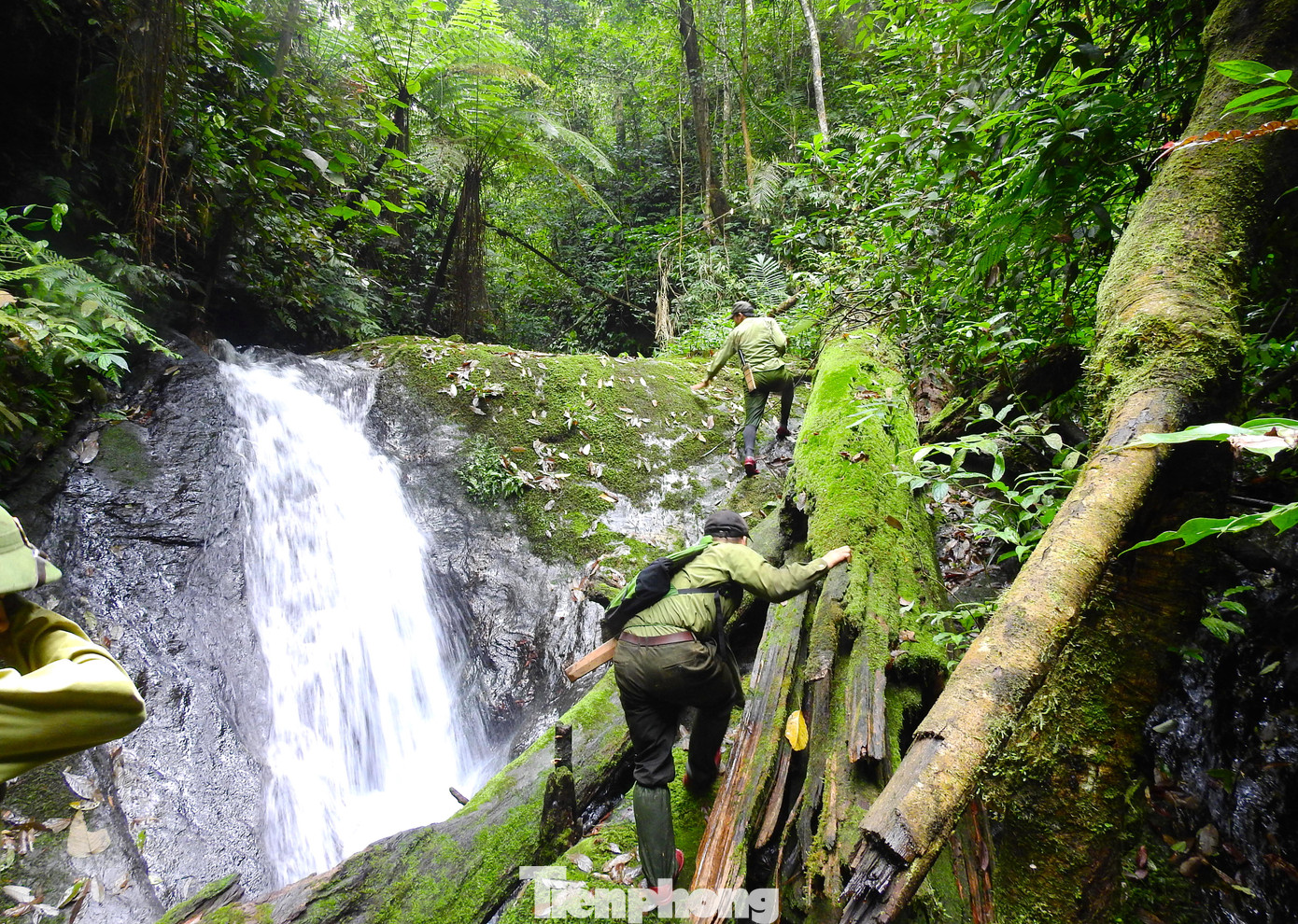 Leo núi với những vách đá dựng đứng hay leo qua những thân cây gỗ trơn trượt để vượt thác.