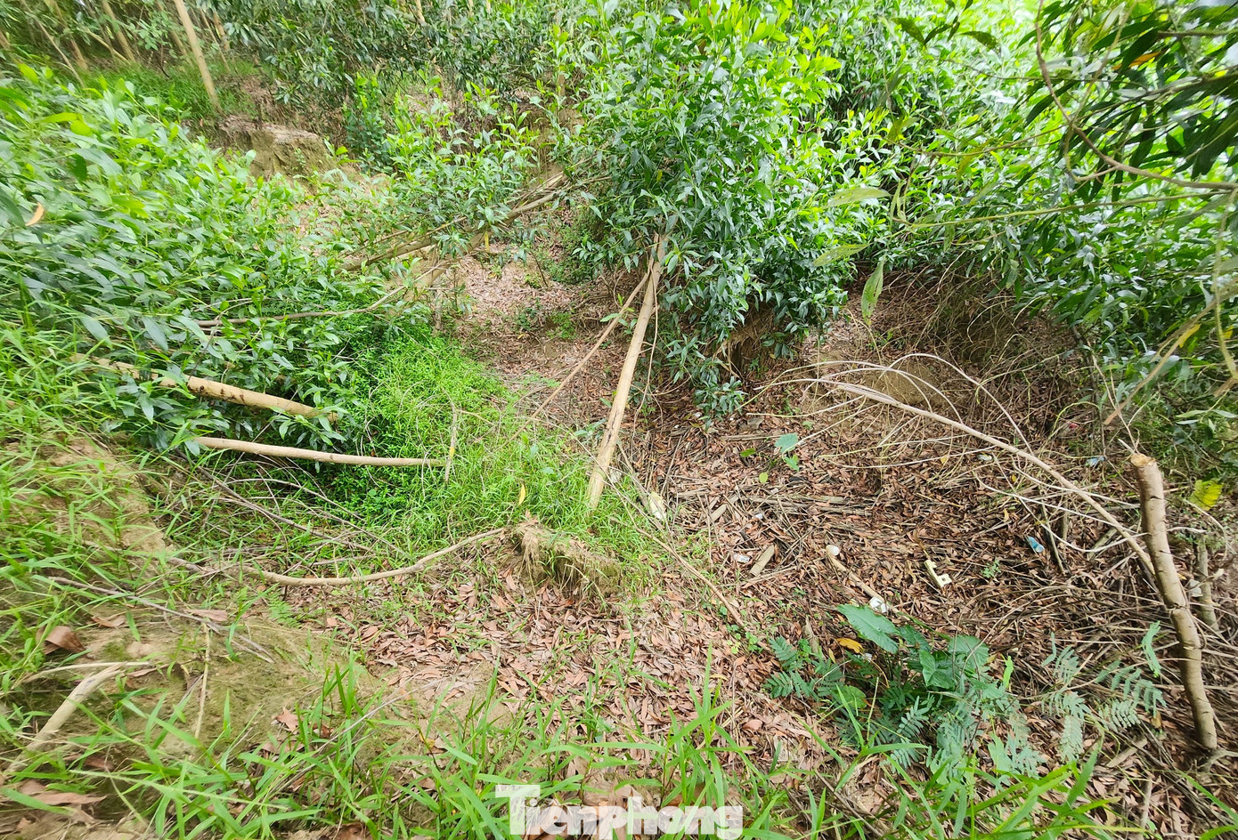 Ông Kỳ cho hay, tình trạng sạt lở diễn ra nhiều năm qua và hiện vẫn chưa có dấu hiệu dừng lại. Ông Kỳ cho hay, tình trạng sạt lở diễn ra nhiều năm qua và hiện vẫn chưa có dấu hiệu dừng lại.