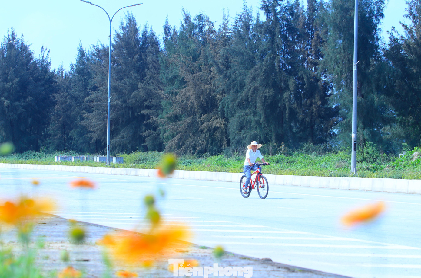 Theo đó, Lễ hội Hoa cúc biển sẽ có chuỗi các cuộc thi và hoạt động như “Trang trí điểm check-in hoa cúc biển” năm 2024 với chủ đề “Cúc biển Cửa Lò - Quà tặng của thiên nhiên”; cuộc thi lái xe điện giỏi; cuộc thi “Nữ thanh niên thanh lịch Cửa Lò 2024”; Hội thi vẽ tranh với chủ đề “Cửa lò - Cúc biển trong em” tại các trường học trên địa bàn. Lễ hội được tổ chức nhằm mục đích tôn vinh vẻ đẹp của loài hoa đặc trưng, mang biểu tượng du lịch của thị xã biển Cửa Lò.