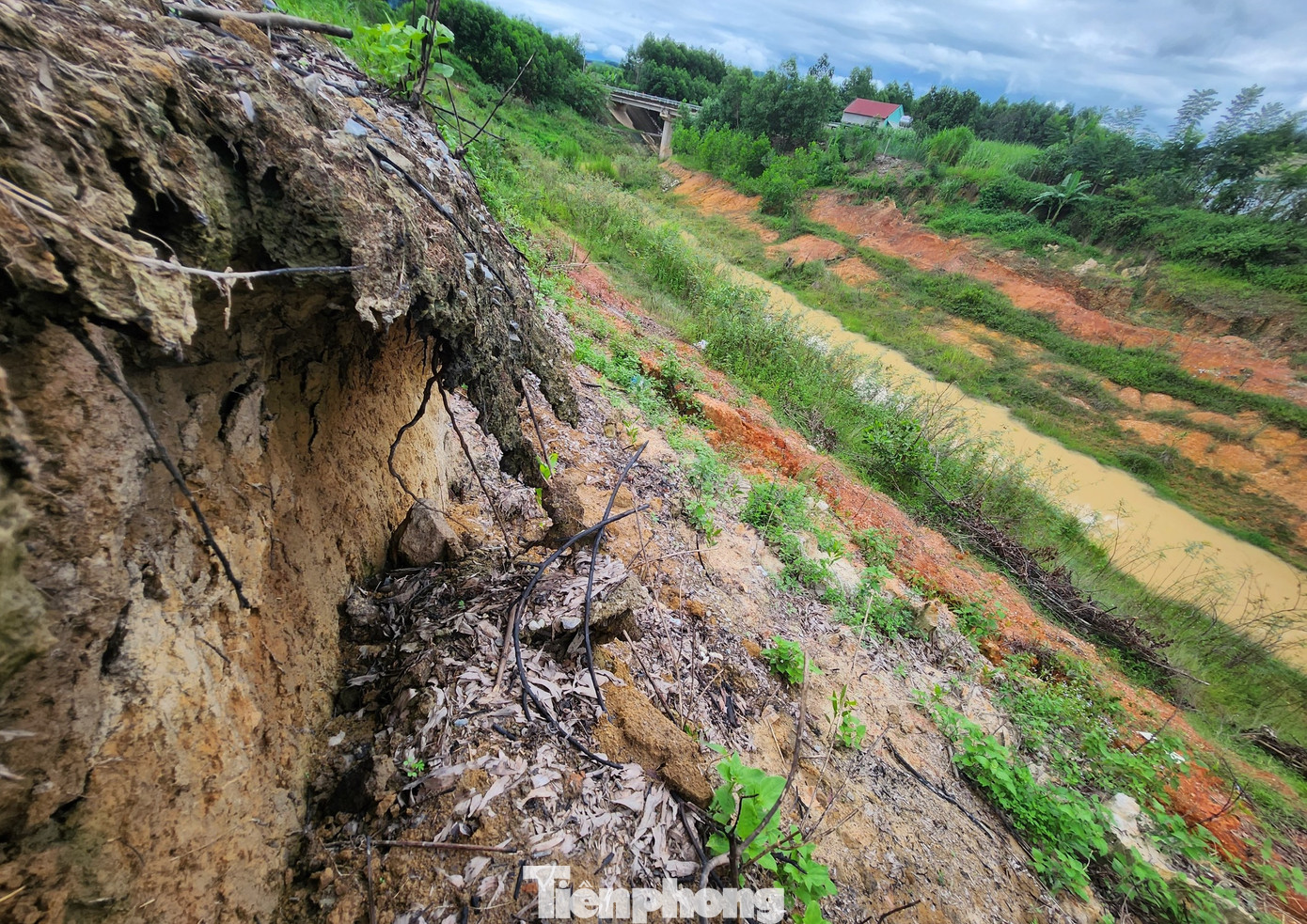 Nhiều đoạn bờ kênh bị sạt lở hàm ếch chờ chực đổ sập xuống. Tình trạng sạt lở này vẫn chưa có dấu hiệu dừng lại.