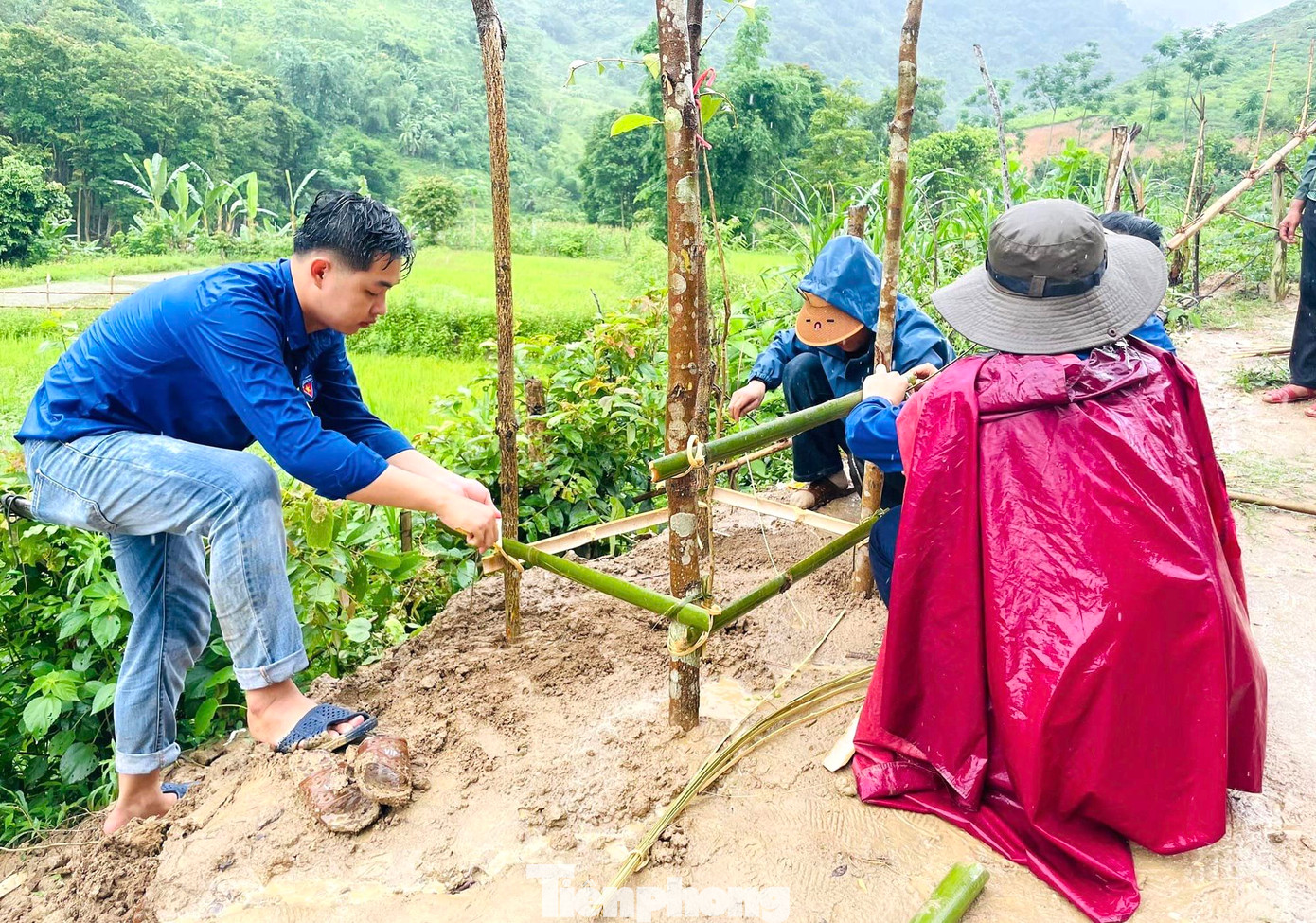 Trong ảnh, các đoàn viên thanh niên ở huyện biên giới Tương Dương trồng cây xanh hưởng ứng lễ ra quân.