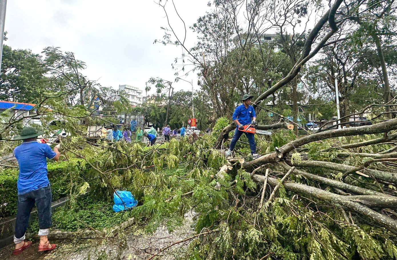 Hai ngày qua, gần 100 tình nguyện viên là đoàn viên thanh niên tỉnh Nghệ An đã chia thành nhiều đội hình nhỏ triển khai việc khắc phục hậu quả của cơn bão số 3 gây ra trên địa bàn thành phố Hải Phòng.