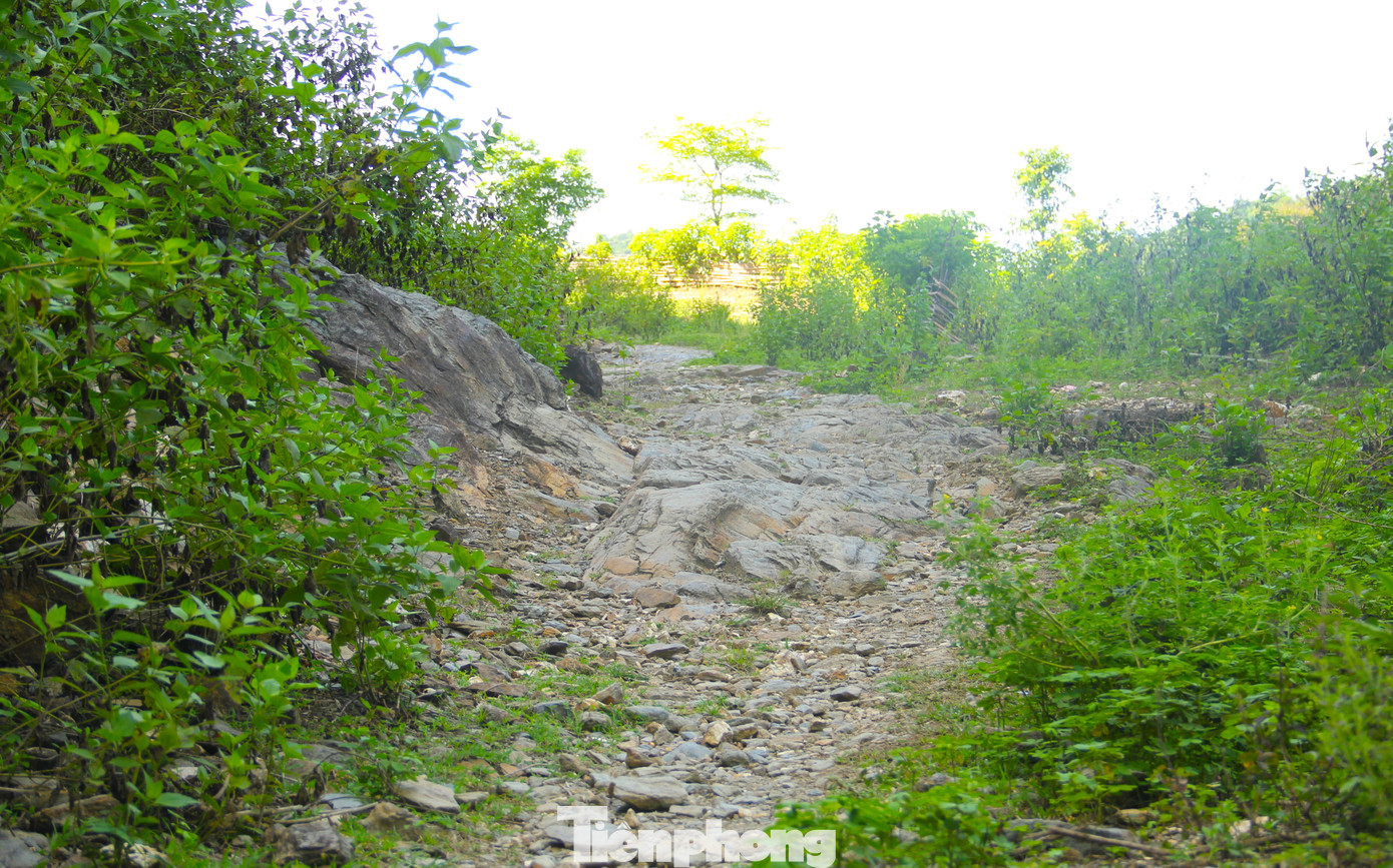 "Xã đã nhiều lần kiến nghị huyện, tỉnh bố trí nguồn vốn để thi công tiếp con đường, nhưng nhiều năm rồi vẫn chưa thấy động tĩnh gì. Không có đường đi, không chỉ người dân vất vả mà cán bộ xã khi vào bản làm việc cũng khó khăn khi phải đi vòng nhiều chặng, mất rất nhiều thời gian", Chủ tịch xã Lượng Minh nói.