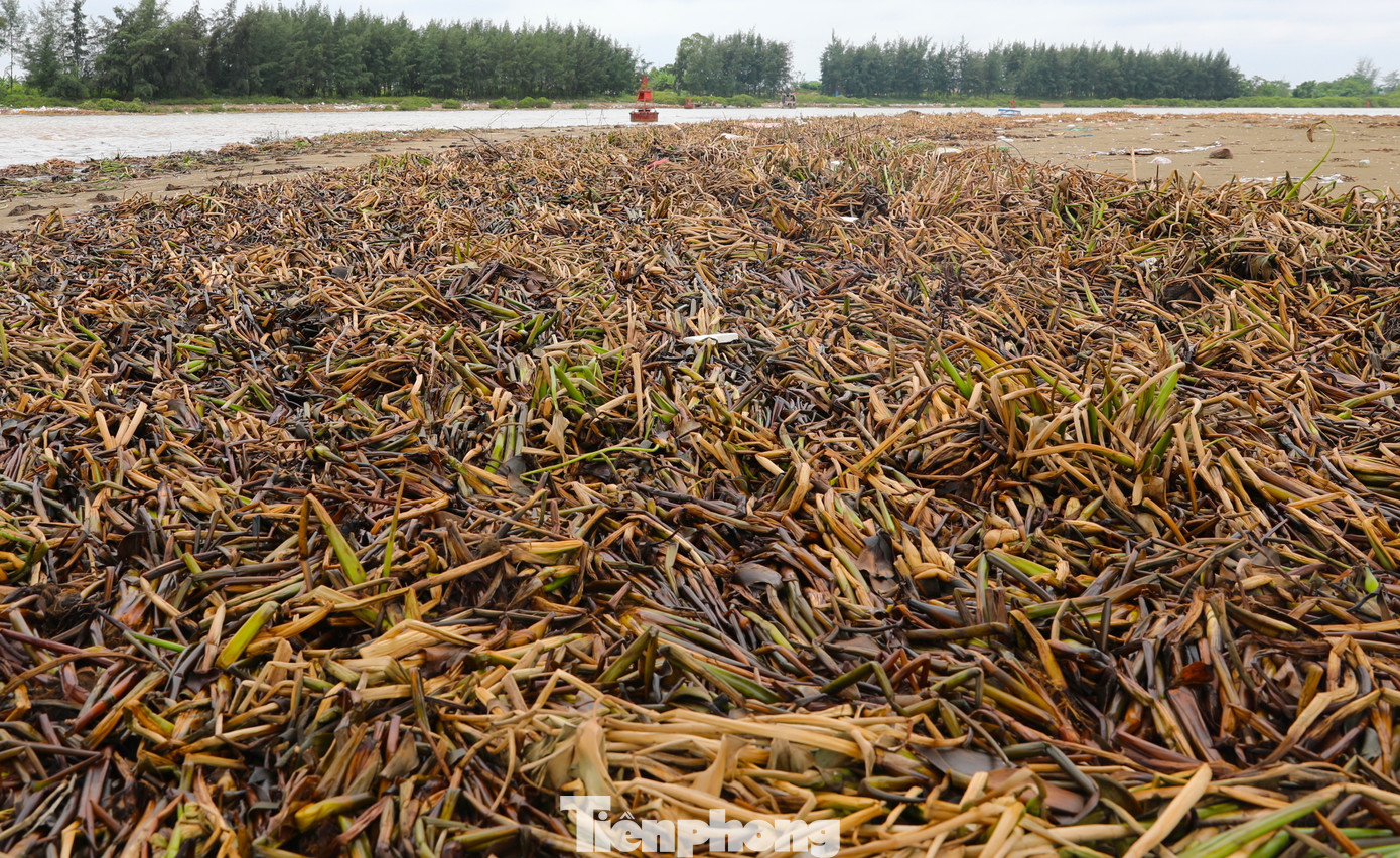 Chủ tịch xã Diễn Kim cho biết thêm, xã này thường xuyên huy động lực lượng đoàn viên thanh niên, hội phụ nữ xã và các đoàn thể ra bờ biển, cửa biển để dọn rác.