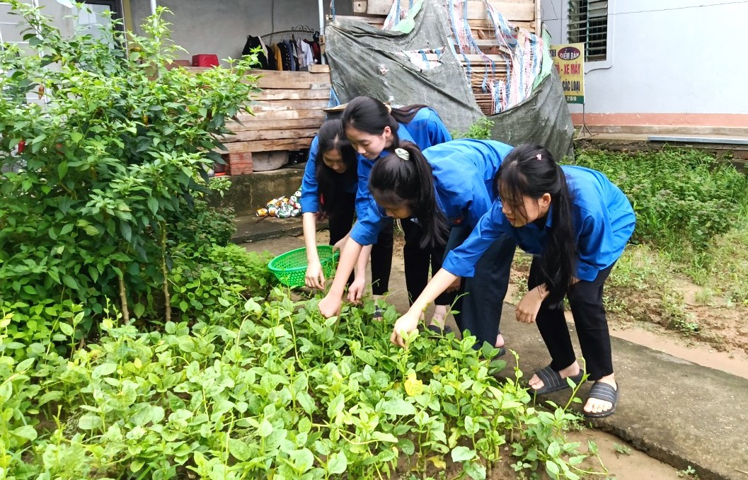 Sáng 28/6, sau khi các thí sinh vào phòng làm bài thi kỳ thi tốt nghiệp THPT 2024, ở ngoài, một đội hình đoàn viên thanh niên tình nguyện huyện Anh Sơn (Nghệ An) đã đi chợ, hái rau để chuẩn bị bữa cơm tiếp sức cho các thí sinh trên địa bàn. Sáng 28/6, sau khi các thí sinh vào phòng làm bài thi kỳ thi tốt nghiệp THPT 2024, ở ngoài, một đội hình đoàn viên thanh niên tình nguyện huyện Anh Sơn (Nghệ An) đã đi chợ, hái rau để chuẩn bị bữa cơm tiếp sức cho các thí sinh trên địa bàn.