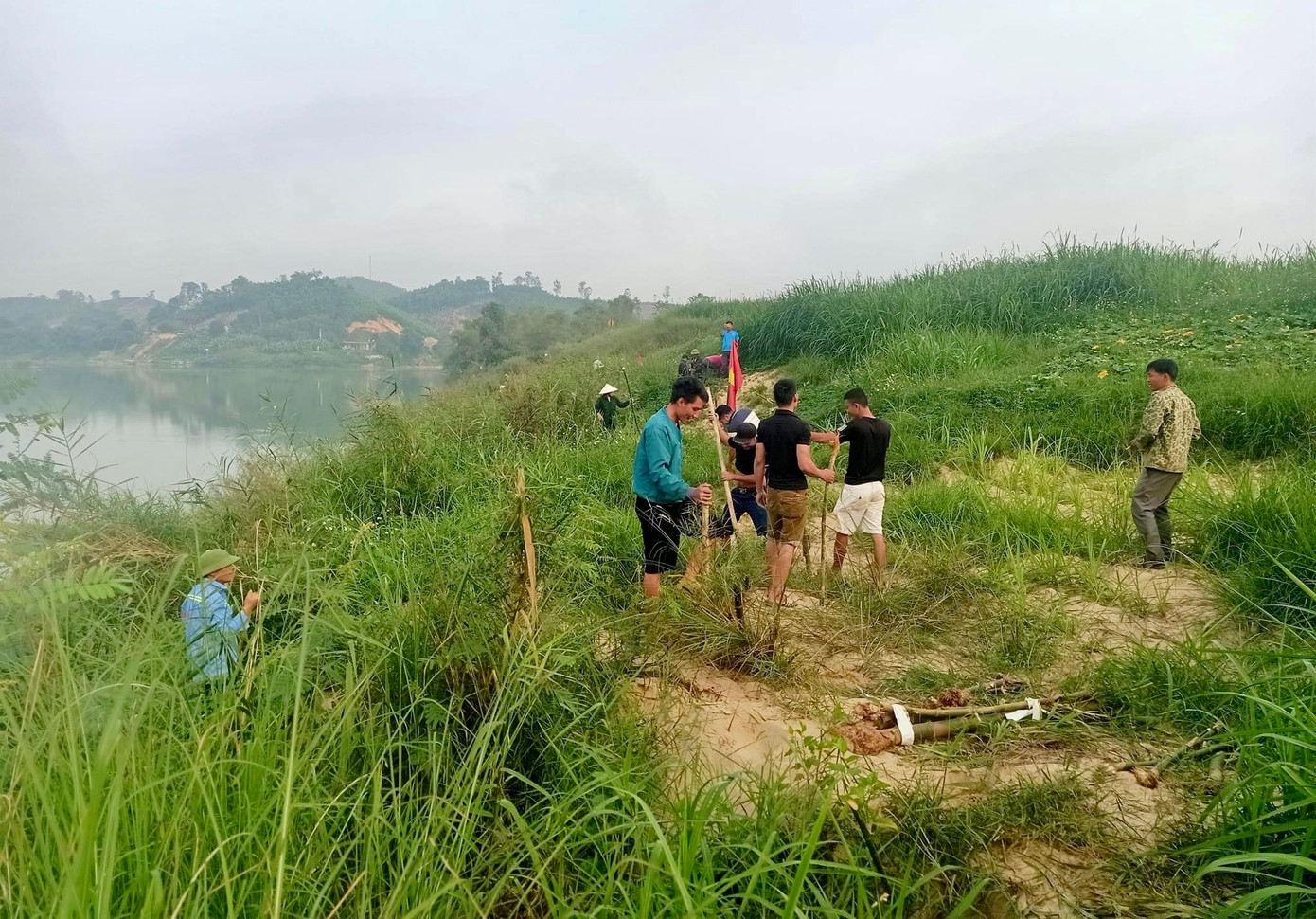 Việc trồng tre, mét dọc bờ sông Lam sẽ giúp giữ đất, hạn chế tình trạng xói mòn, sạt lở đất trên địa bàn huyện Anh Sơn. Việc trồng tre, mét dọc bờ sông Lam sẽ giúp giữ đất, hạn chế tình trạng xói mòn, sạt lở đất trên địa bàn huyện Anh Sơn.